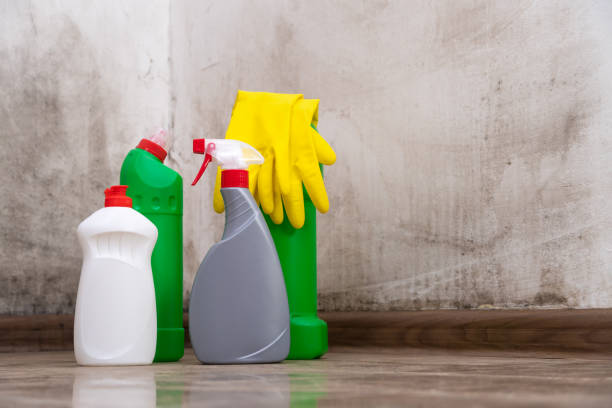 Mold Remediation for Rental Properties